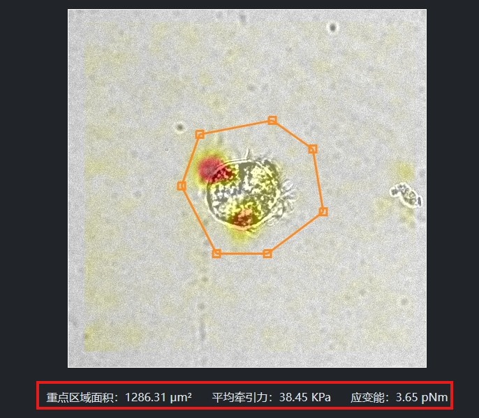 局部计算结果